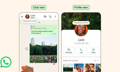 Fitur baru WhatsApp bernama About, yang mirip Instagram Notes.