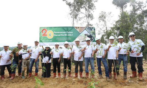 Tanam Pohon Gamal ke-20 Juta, BJA Group Mantapkan Langkah Menuju Industri Bebas Deforestasi
