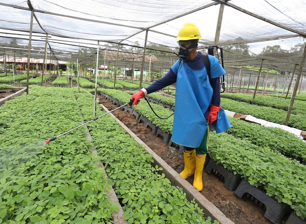 BJA Group Konsisten Bangun Industri Bebas Deforestasi lewat Aksi Tanam Pohon Gamal ke-20 Juta 