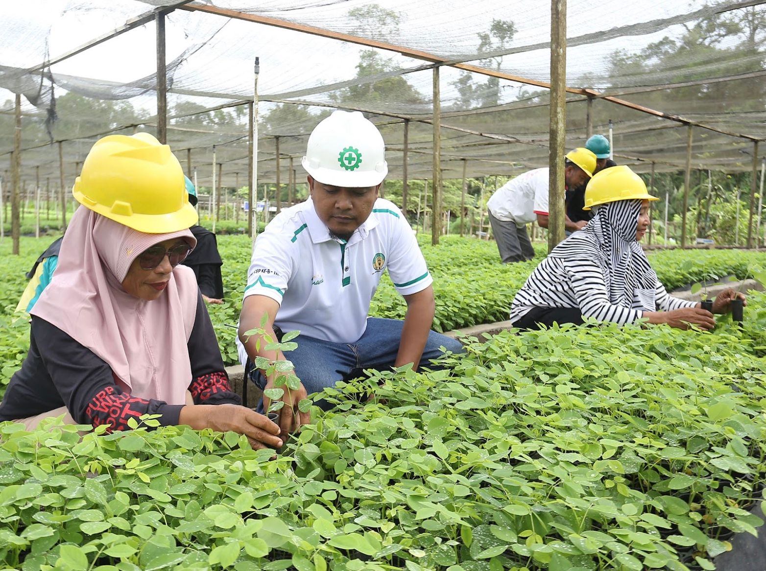 Penanaman Pohon Gamal ke-20 Juta, Langkah Strategis BJA Group Ciptakan Rantai Pasok Bebas Deforestasi