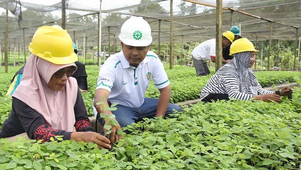 Penanaman Pohon Gamal ke-20 Juta, Langkah Strategis BJA Group Ciptakan Rantai Pasok Bebas Deforestasi