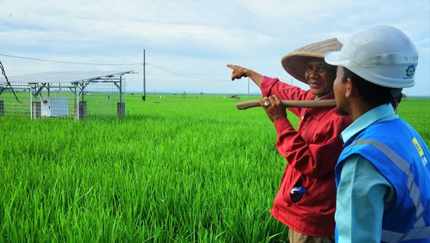 Listrik PLN Ubah Wajah Pertanian Trimomukti: Dari Ketergantungan Hujan Menuju Tiga Kali Panen