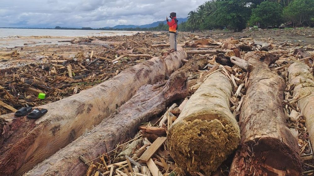 WhatsApp Image 2025-11-28 at 16.35.35.jpeg