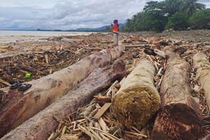 WhatsApp Image 2025-11-28 at 16.35.35.jpeg