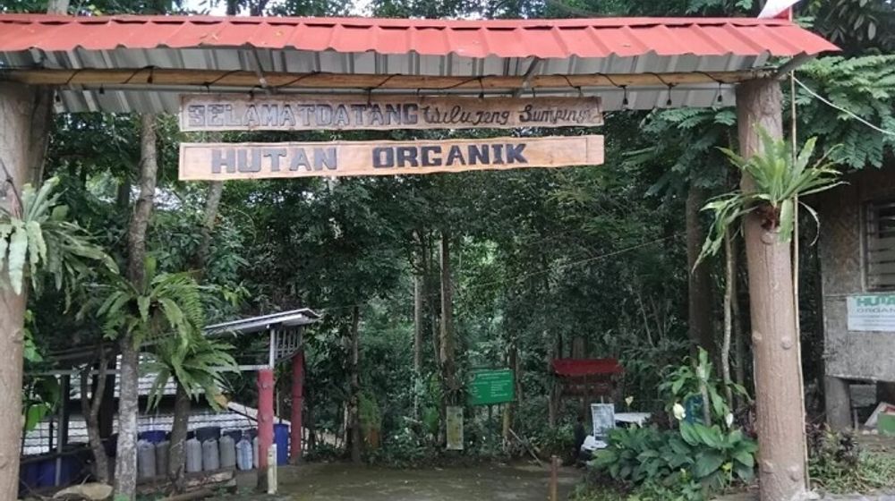 Hutan Organik Megamendung.