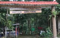 Hutan Organik Megamendung.