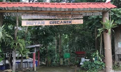 Hutan Organik Megamendung.