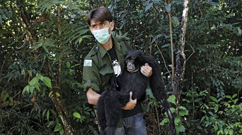 Chanee-Kalaweit-Mendedikasikan-Separuh-Hidupnya-Dengan-Primata-3.jpg