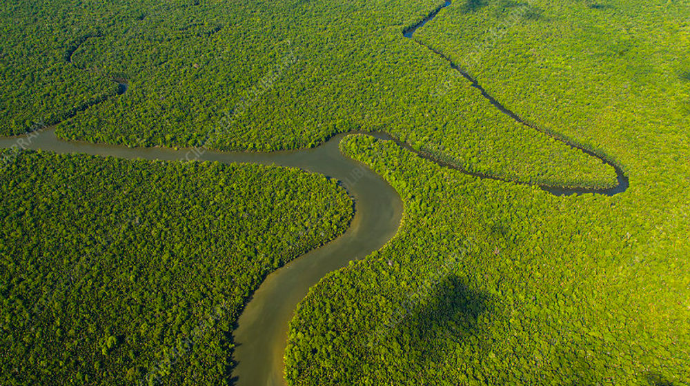 C0408039-Aerial_view_of_the_River_Kinabatangan,_Borneo.jpg