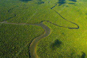 C0408039-Aerial_view_of_the_River_Kinabatangan,_Borneo.jpg