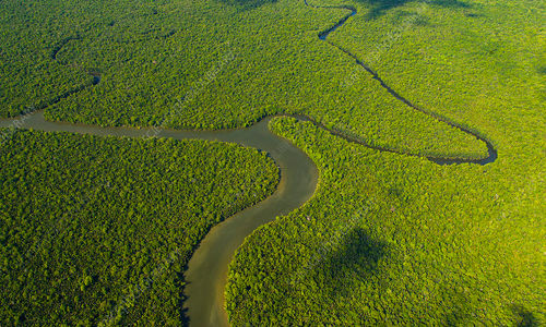 C0408039-Aerial_view_of_the_River_Kinabatangan,_Borneo.jpg
