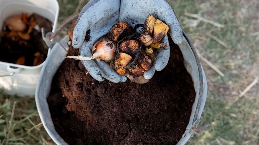 Membuat pupuk kompos dari sampah di rumah.