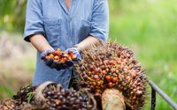 Buah-Kelapa-Sawit-1024x683.jpg