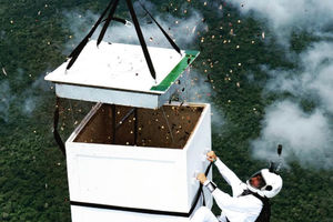 Luigi Cani tebar 100 juta benih di kawasan hutan Amazon, Brasil.