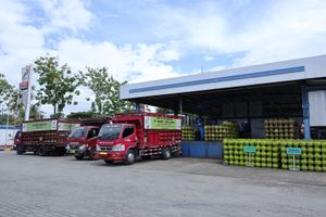 WhatsApp Image 2025-12-17 at 08.59.09.jpeg