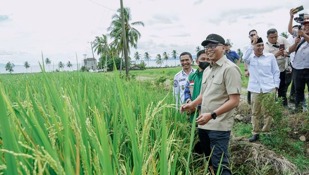 Gubernur Lampung Tinjau Produksi POC dan Fasilitas Pascapanen di Tanggamus