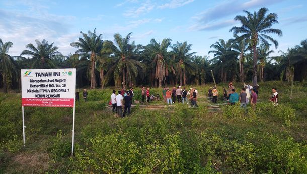 PTPN I Regional 7 Kecam Tindakan Provokasi dan Penghentian Aktivitas Panen