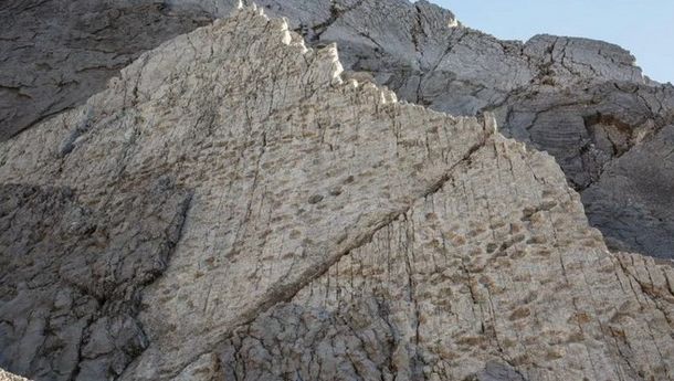 Ribuan Jejak Kaki Dinosaurus Berusia 210 Juta Tahun Ditemukan di Pegunungan Italia