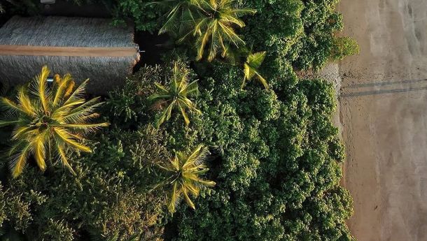 Surga yang Tak Mau Ditemukan: Chiriquí, Pelarian Terliar Amerika Tengah yang Kini Diburu Dunia Mewah