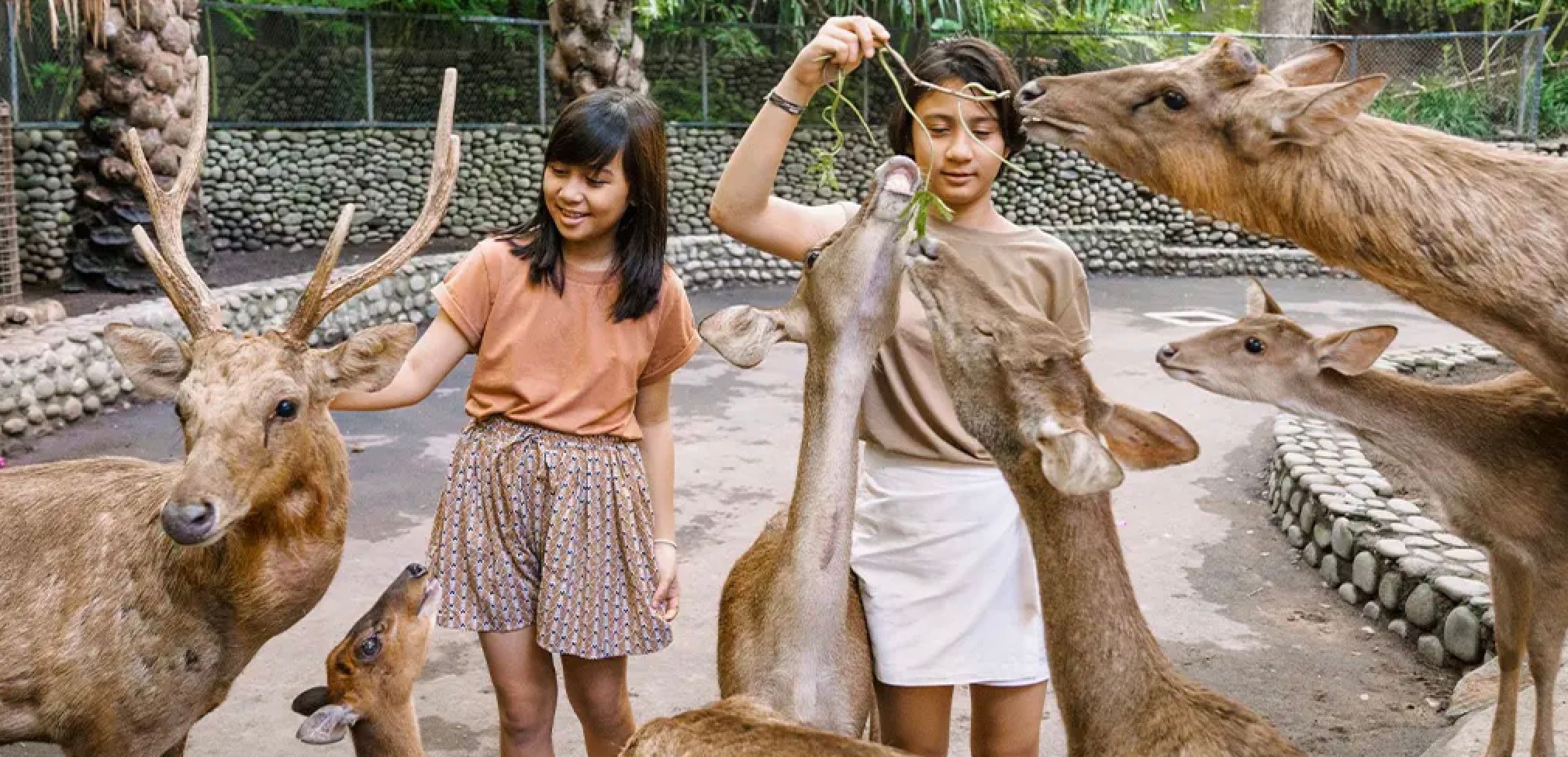 5 Rekomendasi Destinasi Wisata Keluarga di Bali Saat Musim Hujan, Cocok untuk Libur Nataru!