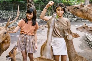 5 Rekomendasi Destinasi Wisata Keluarga di Bali Saat Musim Hujan, Cocok untuk Libur Nataru!