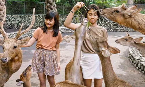 5 Rekomendasi Destinasi Wisata Keluarga di Bali Saat Musim Hujan, Cocok untuk Libur Nataru!