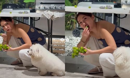 Makan anggur di bawah meja pada malam Tahun Baru.