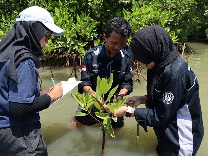 Mahasiswa Pendidikan Biologi UNY Lakukan Pemetaan Mangrove
