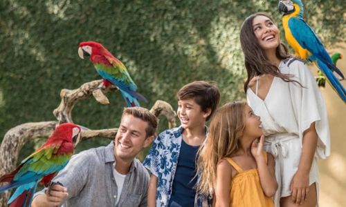 Rekomendasi Tempat Wisata Ramah Anak di Bali: Bali Bird Park