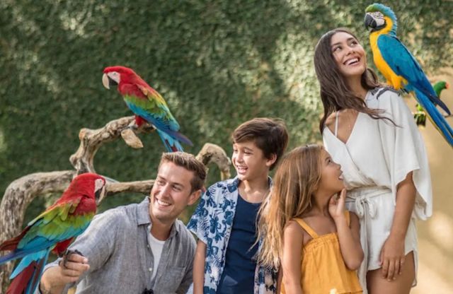 Rekomendasi Tempat Wisata Ramah Anak di Bali: Bali Bird Park