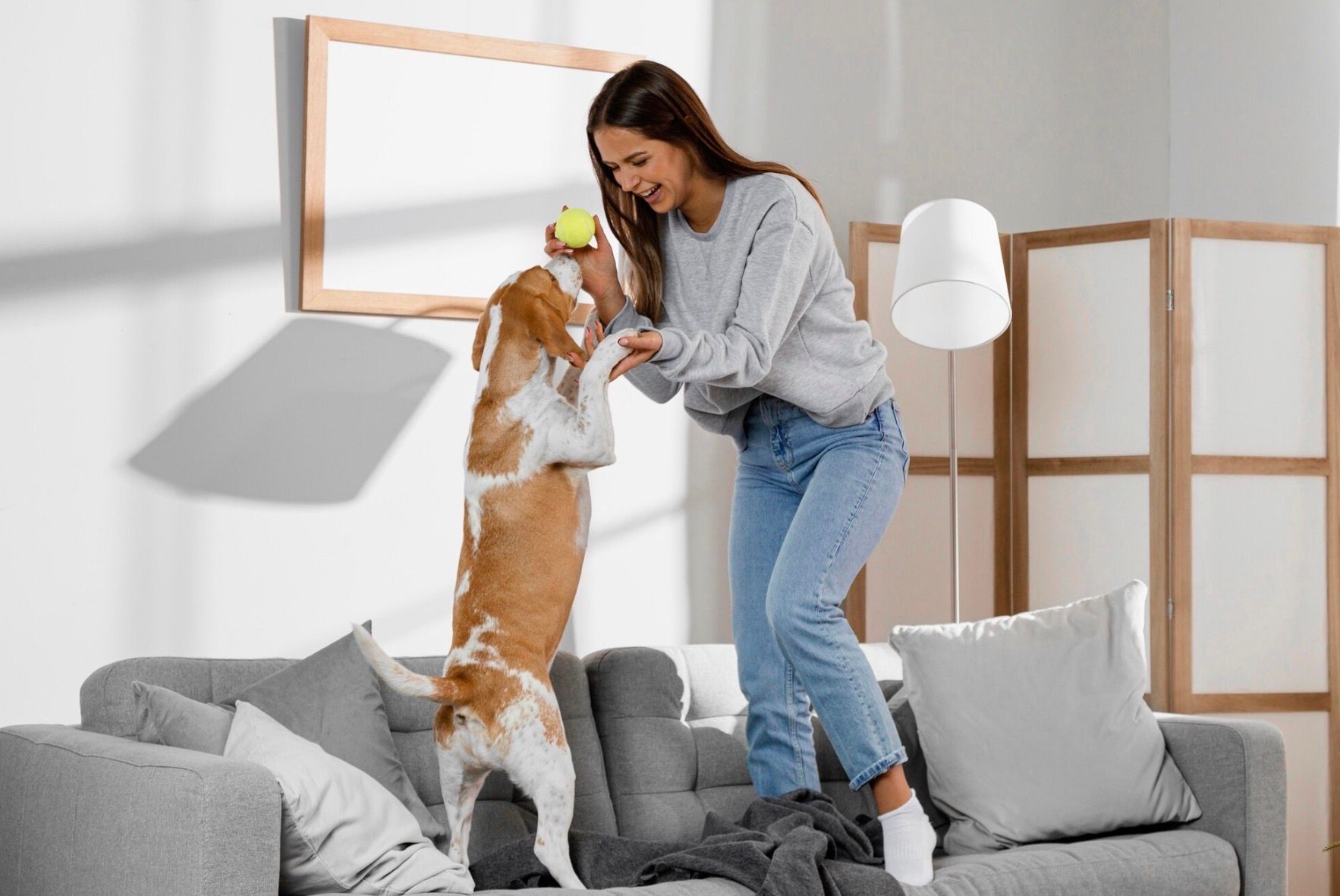 5 Cara Aman Tinggalkan Hewan Peliharaan Saat Liburan Lama