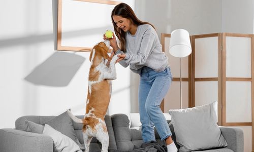 5 Cara Aman Tinggalkan Hewan Peliharaan Saat Liburan Lama