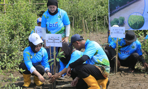 Penanaman Mangrove Kehati BTN - Panji 1.jpg