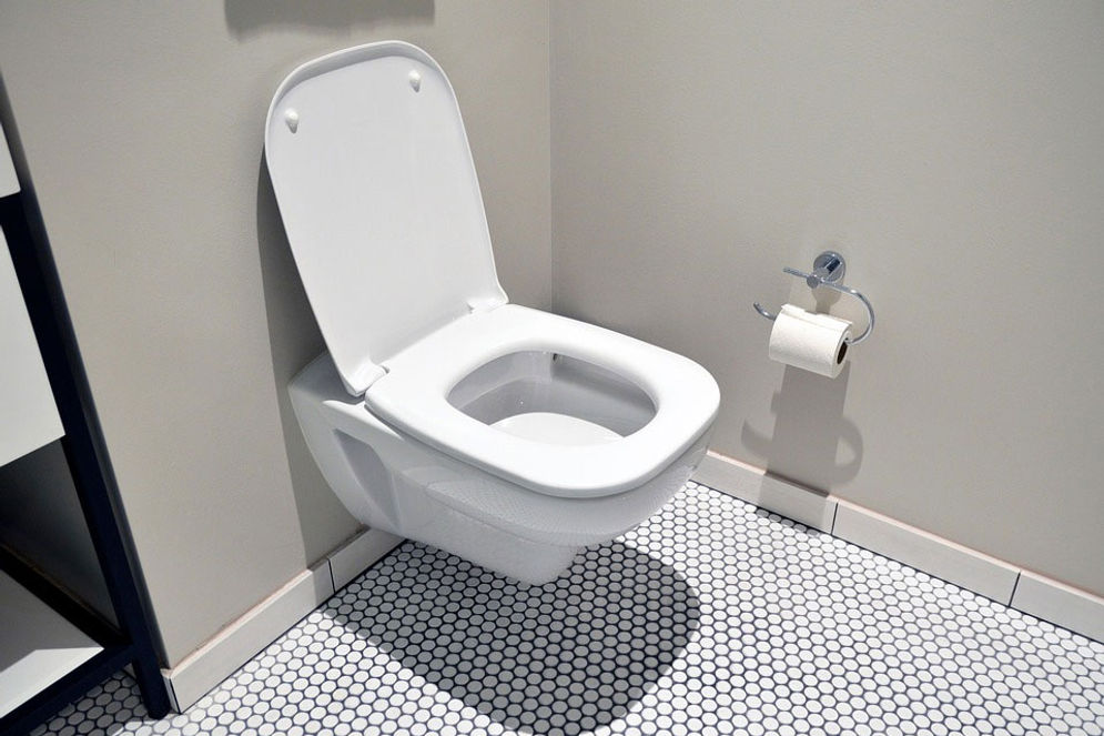 toilet.jpg