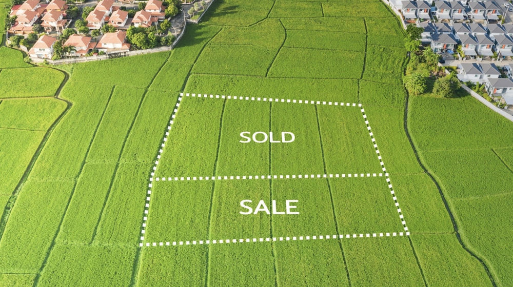 tips investasi tanah untuk pemula.jpg