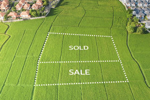 tips investasi tanah untuk pemula.jpg