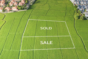 tips investasi tanah untuk pemula.jpg