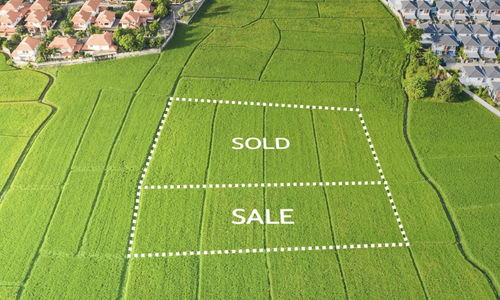 tips investasi tanah untuk pemula.jpg