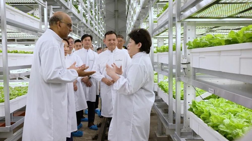 Presiden Tharman Shanmugaratnam bersama pendiri Greenphyto, Susan Chong, saat tur ke ruang kerja Greenphyto.