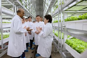 Presiden Tharman Shanmugaratnam bersama pendiri Greenphyto, Susan Chong, saat tur ke ruang kerja Greenphyto.