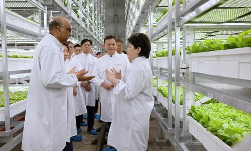 Presiden Tharman Shanmugaratnam bersama pendiri Greenphyto, Susan Chong, saat tur ke ruang kerja Greenphyto.