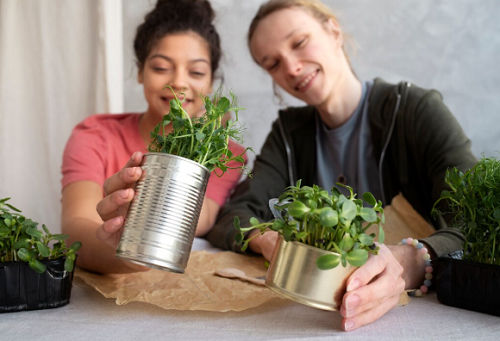 Bertanam di lahan sempit dengan kaleng bekas.