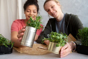 Bertanam di lahan sempit dengan kaleng bekas.