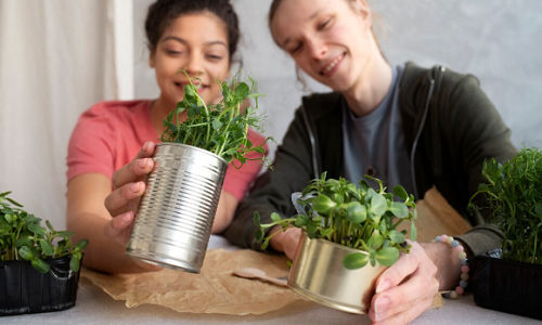 Bertanam di lahan sempit dengan kaleng bekas.