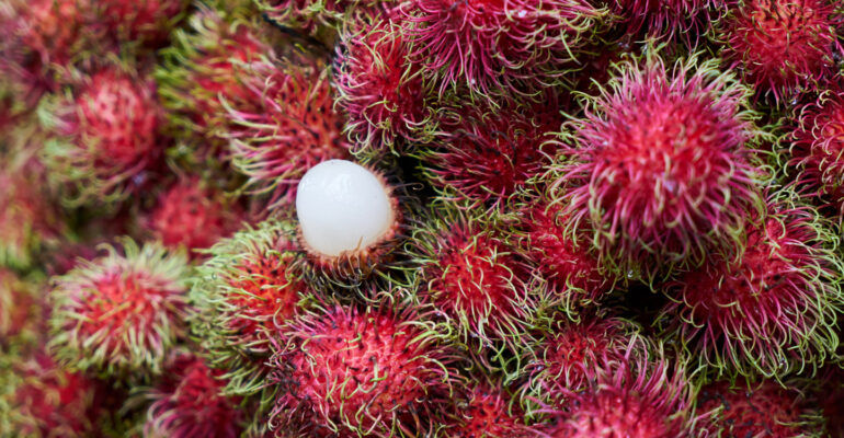 Rambutan