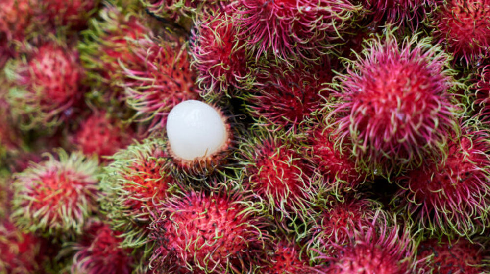 rambutan-absen-di-akhir-tahun-pakar-buah-tropika-ipb-university-ungkap-alasannya-770x400.jpg