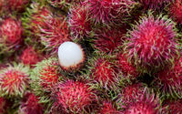 rambutan-absen-di-akhir-tahun-pakar-buah-tropika-ipb-university-ungkap-alasannya-770x400.jpg
