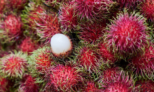 rambutan-absen-di-akhir-tahun-pakar-buah-tropika-ipb-university-ungkap-alasannya-770x400.jpg