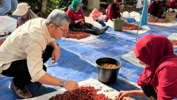 PTPN I Bukukan Penjualan Rp3,56 Triliun hingga November 2025