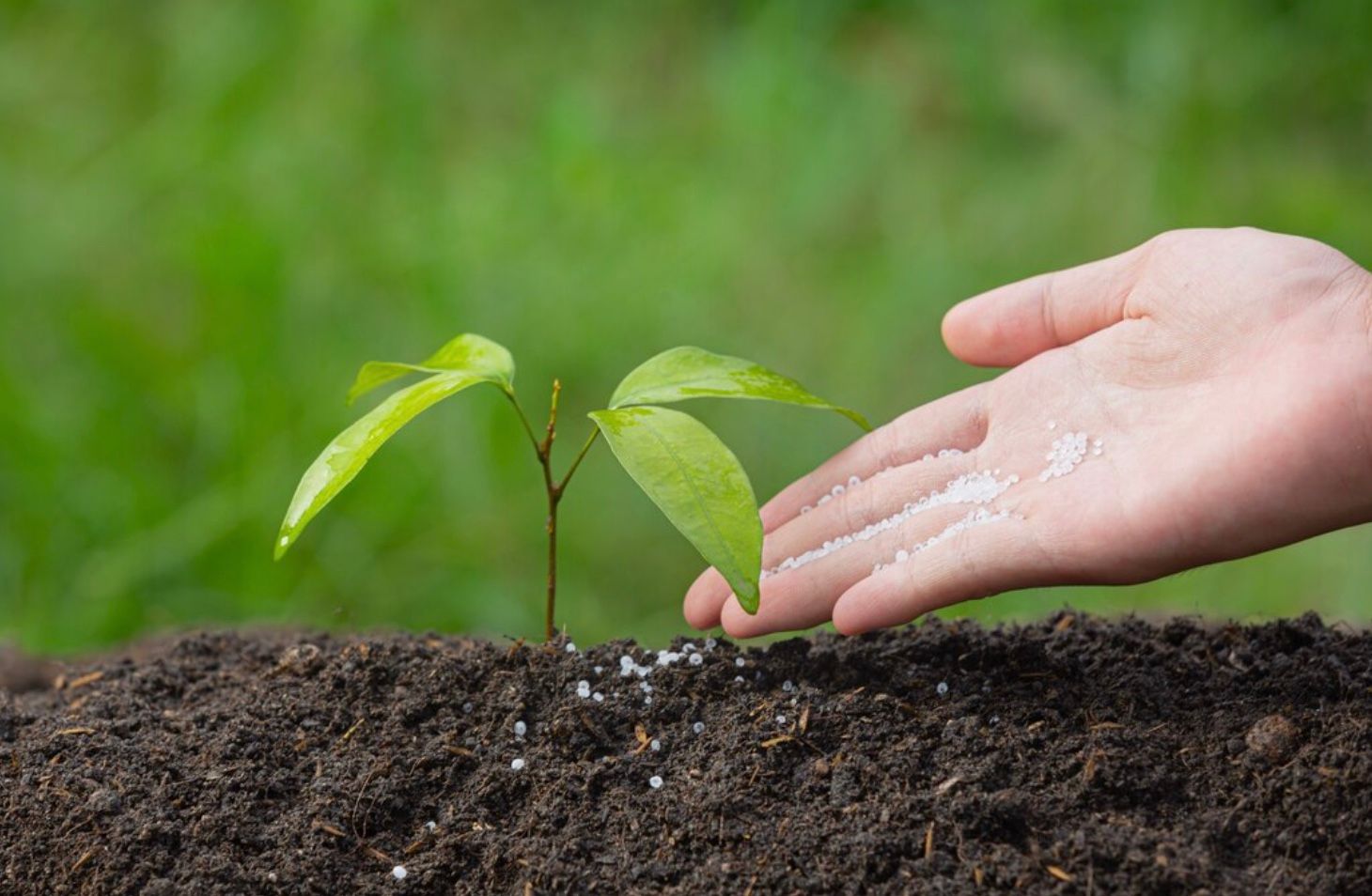 Pabrik Pupuk Papua Dinilai Percepat Produktivitas Pertanian